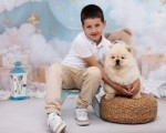 CHOW CHOW zensko stene