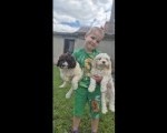 Stenci lagotto romagnolo
