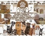 Pansion za pse - Subotica