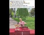 Jazavičari kratkodlaki štenci vrhunskog kvaliteta