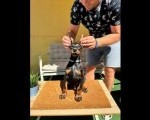 Doberman prelepi stenci