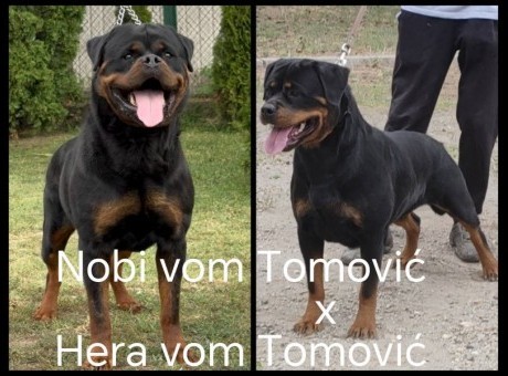 1-4.jpg