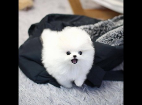 qqq.jpg