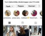 Stenci toy i mini pudle