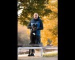 Cane Corso mužjak na prodaju
