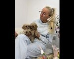 Maltipoo vrhunske genetike
