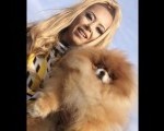 Pomeranski špic,Pomeranac,Pomeranian,Boo štenci