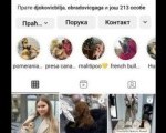 Stenci toy i mini pudle vrhunske genetike