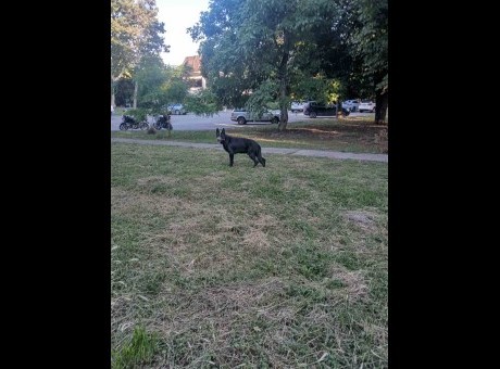 img_5529.jpeg
